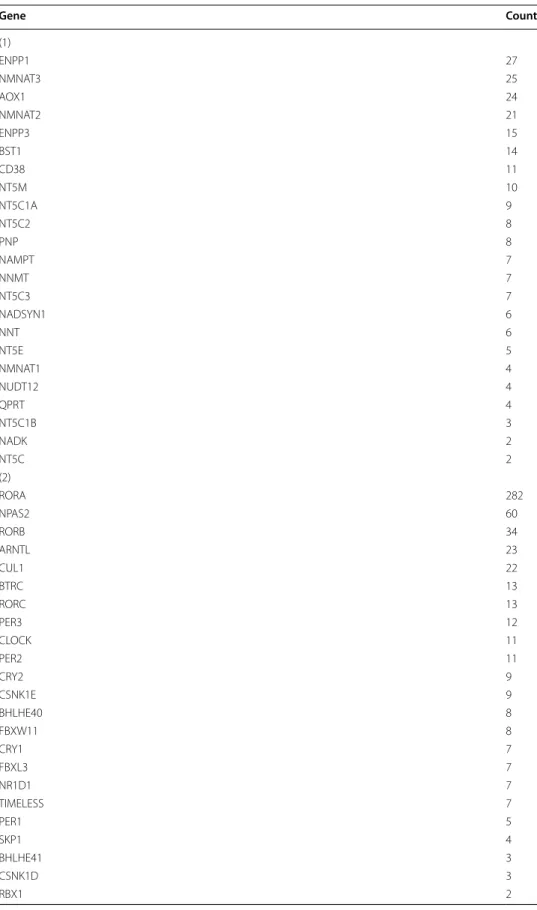 Table 5  First pathways and their corresponding genes. Gene Count (1) ENPP1 27 NMNAT3 25 AOX1 24 NMNAT2 21 ENPP3 15 BST1 14 CD38 11 NT5M 10 NT5C1A 9 NT5C2 8 PNP 8 NAMPT 7 NNMT 7 NT5C3 7 NADSYN1 6 NNT 6 NT5E 5 NMNAT1 4 NUDT12 4 QPRT 4 NT5C1B 3 NADK 2 NT5C 2