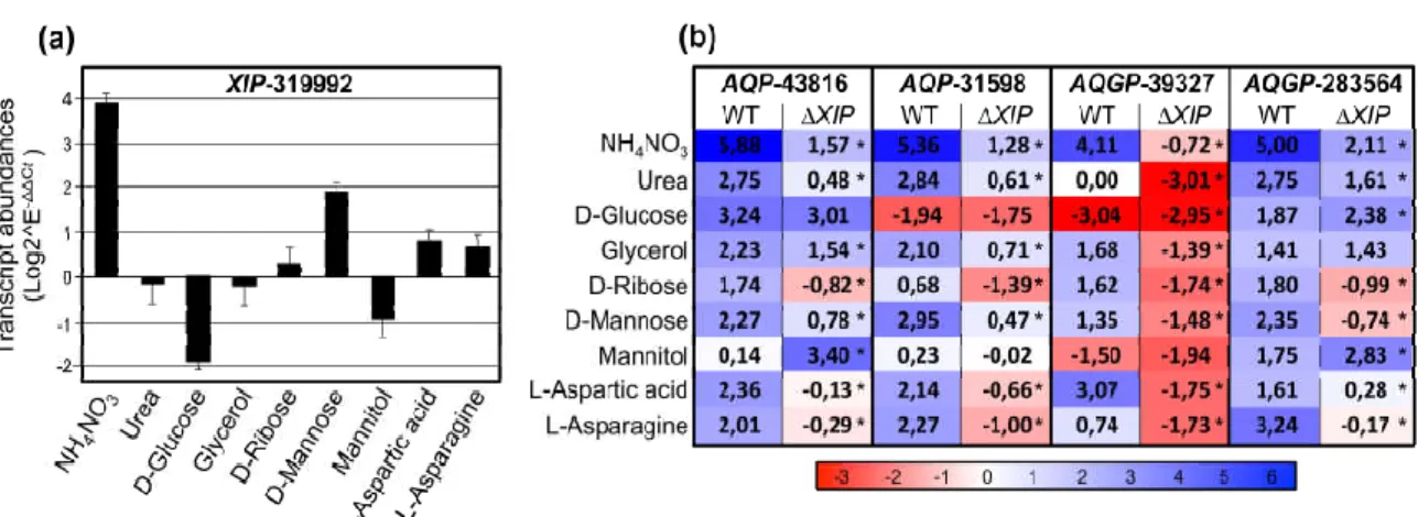 Figure 6. Relative transcription ratios of the expressed MIP genes from Trichoderma atroviride wild type and the five ∆Tri- ∆Tri-atXIP mutant upon growth on PDA medium supplemented with various inorganic and organic compounds