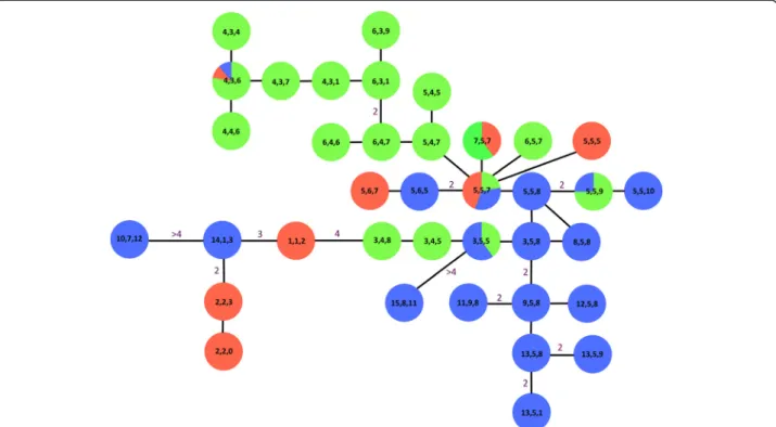 Figure 5 Minimum spanning network reconstruction based only on the three Y chromosomal microsatellites