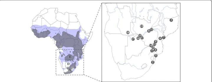 Figure 1 Map of Africa representing the 19 sampling localities of S. c. caffer analysed in this study