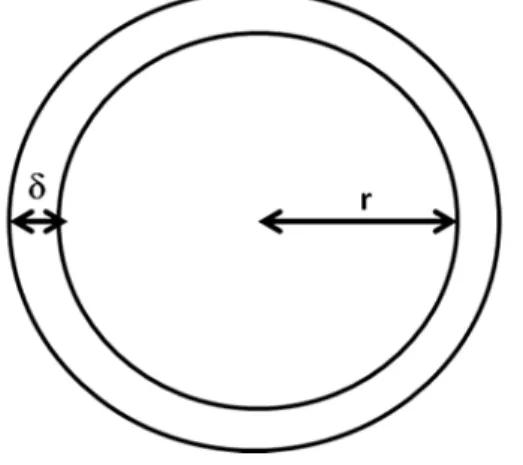 Figure B1. The schema of a protocell with a membrane of constant thickness. 