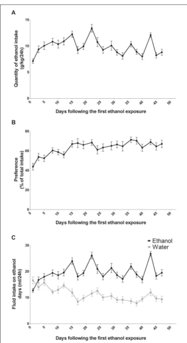 FIGURE 1 | Alcohol intake and preference in rats exposed to an