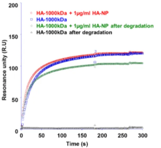 Fig S-3. SPR signal of HA-1000kDa solution with and without HA-NP addition, before and after the enzymatic degradation 