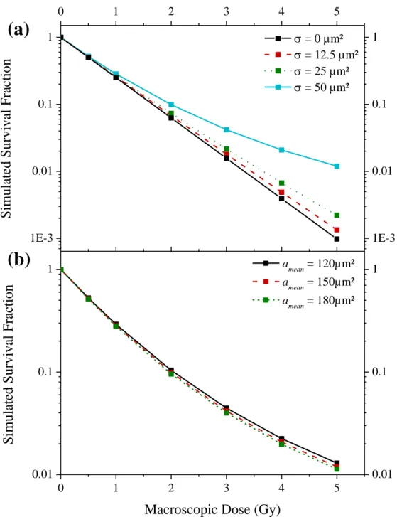 Figure 1: Influence of the nucleus area distribution on a survival fraction with radio-sensitivity parameters set to 1.50  Gy -1  and 0.0 Gy -2 