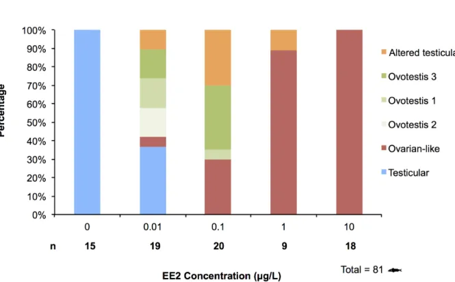 Figure 8. 11-ketosterone levels. This graph show the linear relationship between [11-ketosterone] and LOG[EE2] in rainbow trout fry gonads submitted chronically to increasing concentrations of EE2.