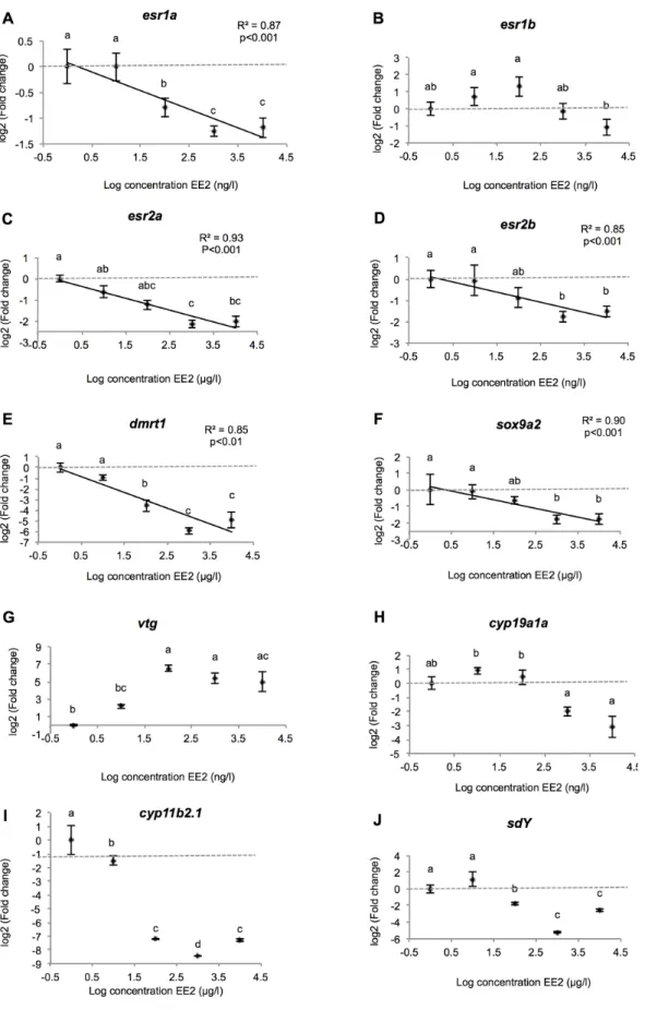 Figure 9. Genes expression profiles in the testis. Relationship between fold change (expressed as mRNA relative expression ratio with control group) of differentially expressed genes and LOG[EE2] in the testis of rainbow trout fry exposed chronically to in