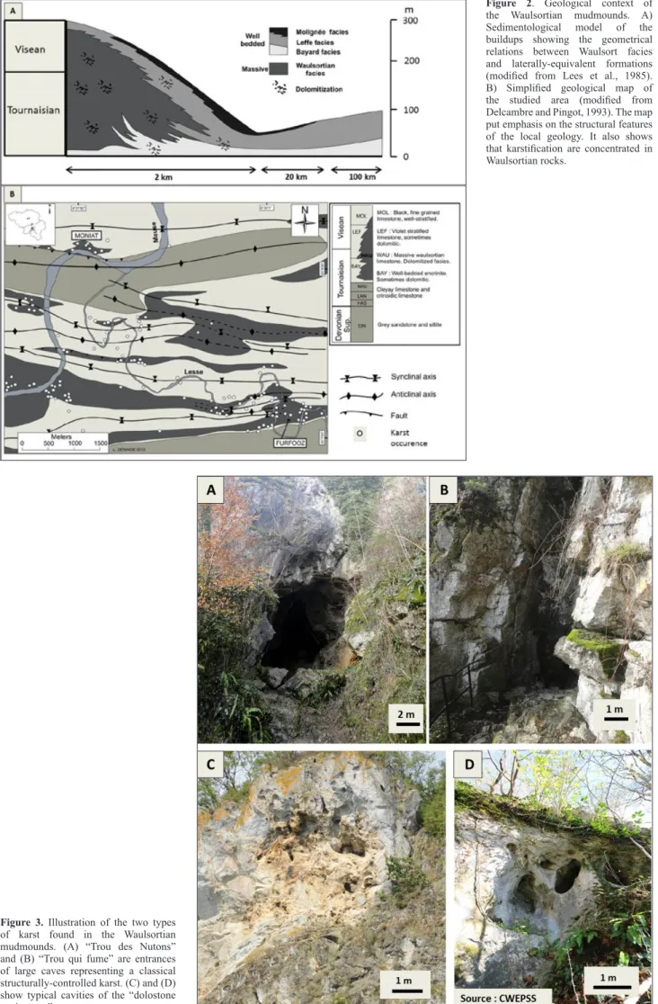 Figure  2. Geological context of  the Waulsortian mudmounds. A)  Sedimentological model of the  buildups  showing  the  geometrical  relations  between  Waulsort  facies  and  laterally-equivalent  formations  (modified  from  Lees  et  al.,  1985)