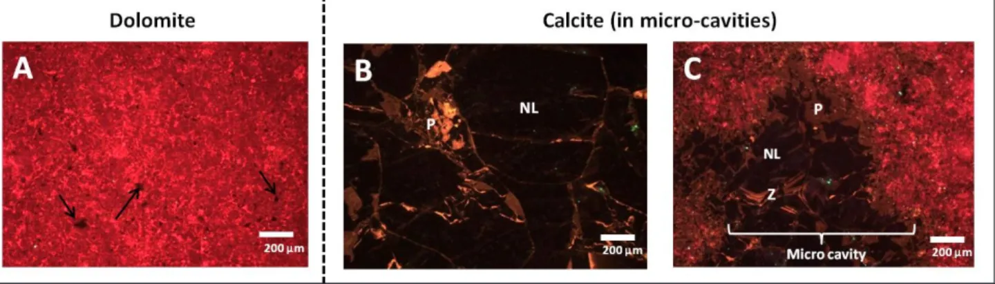 Figure 10. Dedolomite fabrics  under cathodoluminescence. 