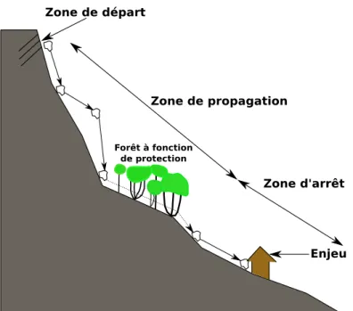 Figure 1.2  Localisation des forêts à fonction de protection le long du versant