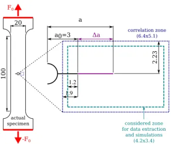 Fig. 2. Geometry (dimension in mm) and boundary conditions of the CCT sample.