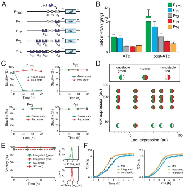 Figure 3. Tightened transcriptional repression provides bistability to the single-copy toggle (A) The O 1  LacI operator in P Trc2  was replaced with the O id  operator to create the P T1  promoter