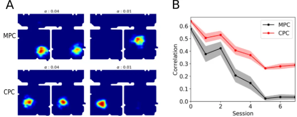 Fig. 8. Evolution of place fields in the double room experiment. A. An example of MPC (top) and CPCs (bottom) place field during early learning sessions (left column, high α ) and late sessions (right column, low α )