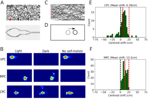 Fig. 2. Multisensory integration in modeled place cells. A. An example of the trajectory of the modeled animal in a rectangular environment (top) and the visual input to the model (bottom) from the location marked by the red dot