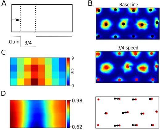 Fig. 3. Multisensory integration in grid cells. A. The speed gain was transiently decreased to 3/4 of the normal gain when the model animal approached the portion of the environment marked by the dotted lines