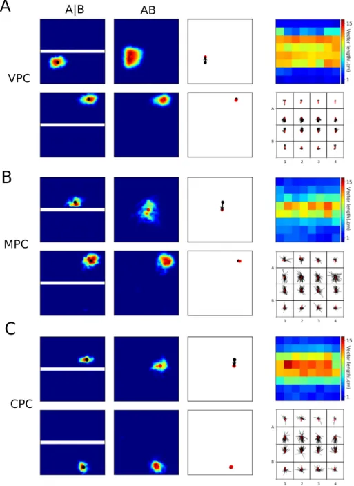 Fig. 5. Place fields in the merged-room experiment. A. Left: receptive fields of two VPCs in the training and testing environments, either close to the removed wall (top) or distal from it (bottom)