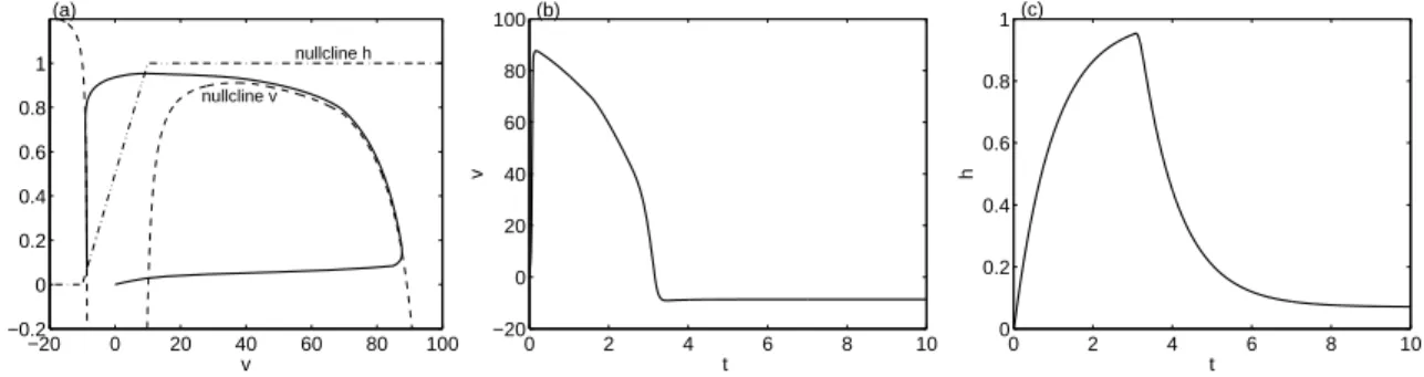 Fig. 2.3.3 – (a) : Représentation, dans le plan de phase (v, h), des nullclines et d’une trajectoire solution du système (2.63) en réponse à un stimulus d’amplitude 500 et de durée 0.1 u.t.