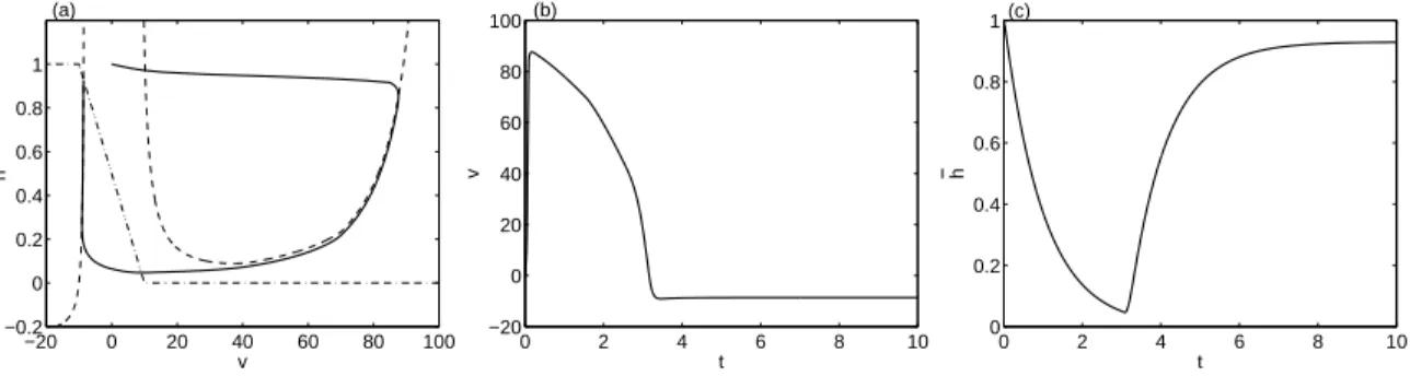 Fig. 2.3.5 – (a) : Représentation, dans le plan de phase (v, ¯ h), des nullclines et d’une trajectoire solution du système (2.66) en réponse à un stimulus d’amplitude 500 et de durée 0.1 u.t.