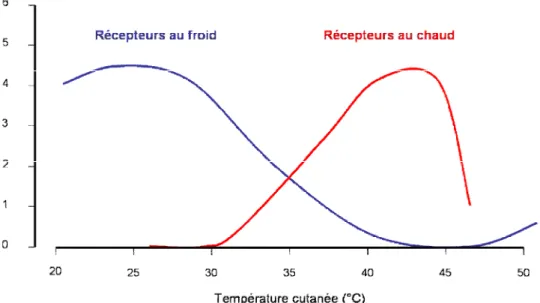 Figure  3 : Fréquence des potentiels d’action générés par les fibres sensibles au chaud et au  froid en fonction de la température d’après (26) 