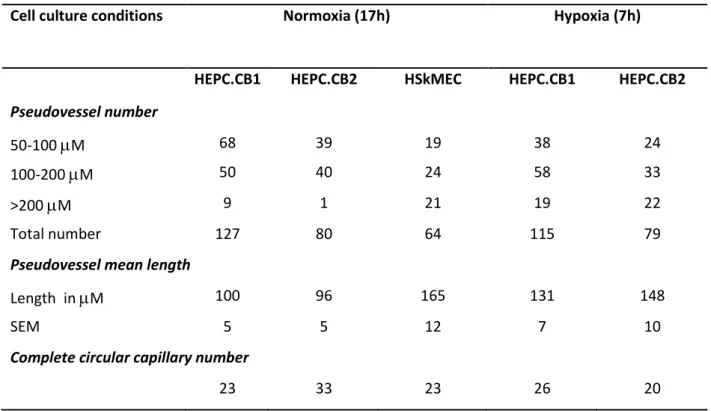 Table II : Pseudovessels formation in Matrigel by HEPC-CB.1, HEPC-CB.2 and  HSkMEC cell lines -  Angiogenesis quantification – 