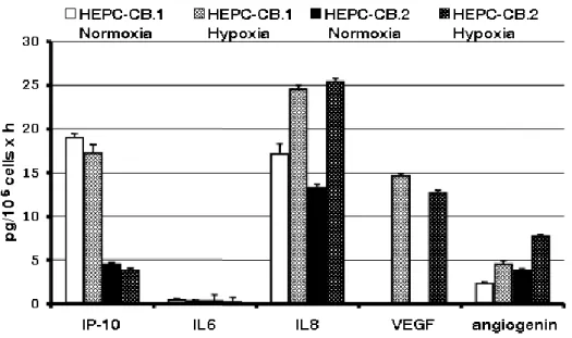 Figure 3. Secretion of selected cytokines produced by HEPC-CB.1 and HEPC-CB.2 cell  lines in normoxic and hypoxic conditions as evaluated by the multiplex BD Cytometric  Bead Assay 