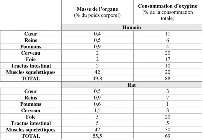 Tableau 1 : Relation entre la masse et la consommation d’oxygène des tissus. (Source :  d’après Rolfe DFS
