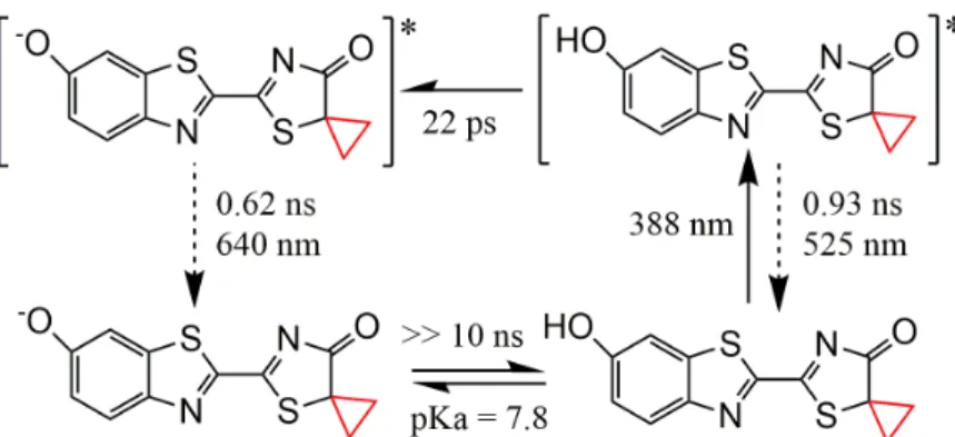 Figure 2  : Excited-state signatures of the phenol-enol analogues.  TA spectroscopy of 2a  for all pH values (right) and 2b at pH=5 (middle) and pH=11 (left)