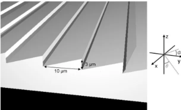Figure 1. Schematic representation of the jagged scales found on the firefly cuticle.