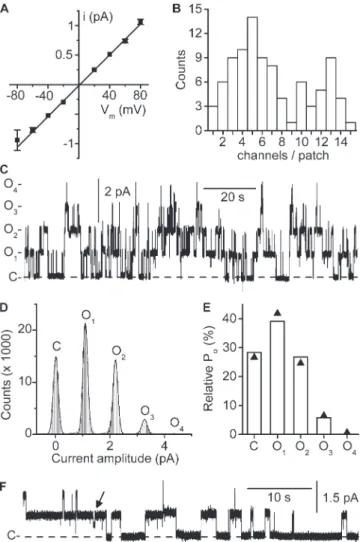 Fig. S1 compares the results from peak current and sta- sta-tionary noise analysis methods for the estimation of the  number of active ClC-K2 channels on patches