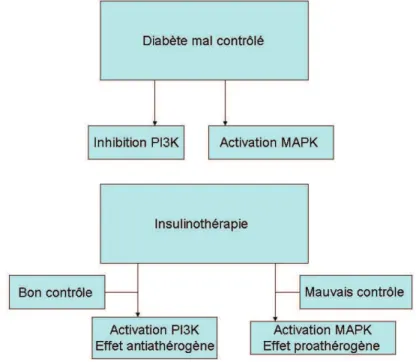 Figure 1:  Diabète, signalisation insulinique et effet de l’insulinothérapie.  