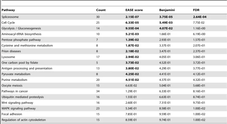 Table 2. List of pathways identified by DAVID with either a significant p-value or 14 or more genes of the 1156 DEG list detected in the map.