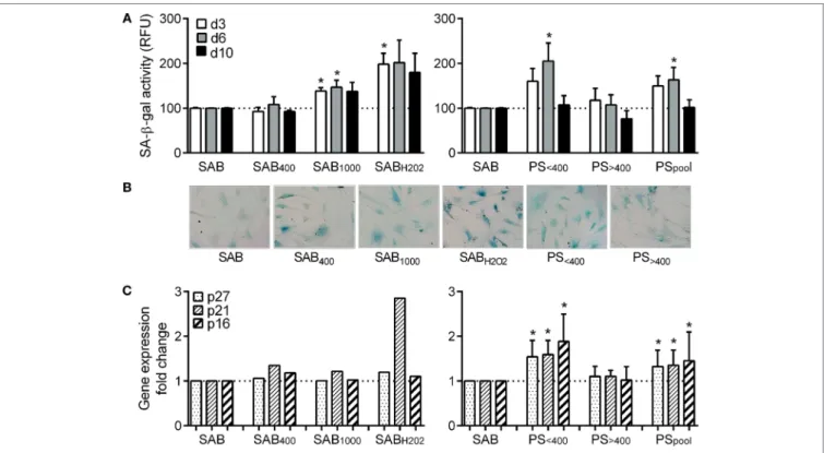 FigUre 2 | HOCl- or H 2 O 2 -induced serum AOPPs and systemic sclerosis (SSc) patient serum increased the number of senescent MSCs