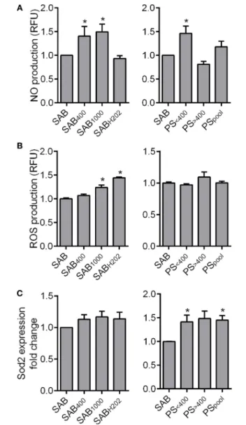 FigUre 3 | HOCl- or H 2 O 2 -induced serum AOPPs increased nitric oxide  (NO) and reactive oxygen species (ROS) production in MSCs