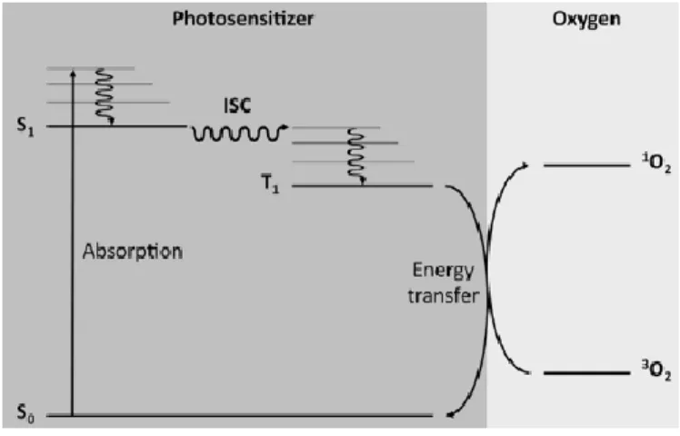 Figure 8.  Scheme for generating singlet oxygen through excitation energy transfer from the photosensitizer  in the triplet state