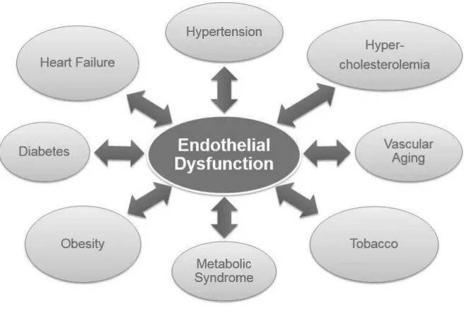 Figure 1. Endothelial dysfunction: A hallmark of major cardiovascular and other related diseases