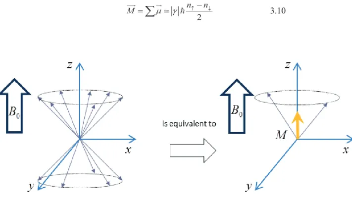 Figure 3.3: The excess of population in low energy state is vectiorally equivalent to a system  with macroscopic magnetic moment aligned on B 0 