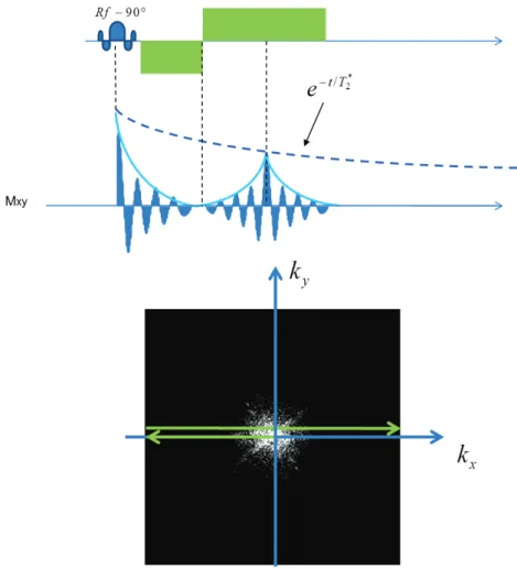 Figure 3.16: Gradient echo principle and corresponding path into the k-space. 