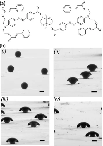 Figure  37:  (a)  Chemical  structure  of  an  azobenzene  isosorbide  derivative.  (b)  Directional  photomanipulation of the resulting microspheres observed by SEM: (i) before irradiation, (ii) after 1 h,  (iii) after 2 h and (iv) after 3 h of irradiatio