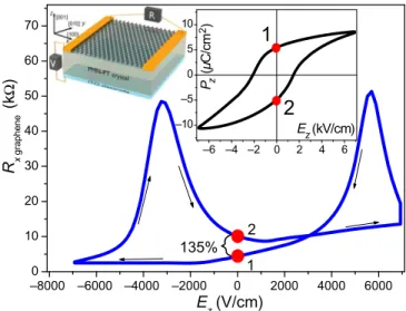 Figure 1 (left inset) illustrates the experimental approach used for electric-ﬁeld-induced remanent-state formation.