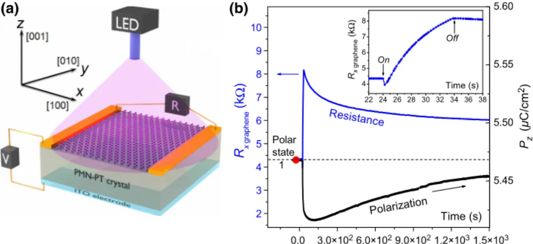 FIG. 2. (a) Experimental setup for optical excitations; the 2D graphene layer is illuminated by a 365-nm light-emitting diode along the [001] direction of the FE substrate, previously subjected to positive poling (state 1)