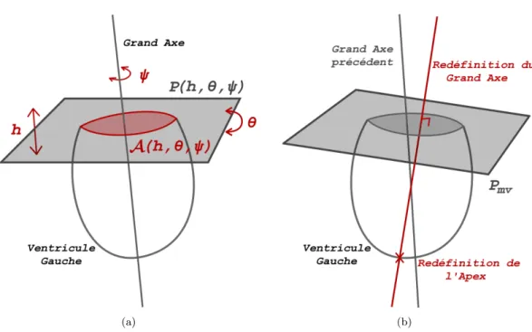 Figure 3.10 – (a) Paramètres d’optimisation du plan mitral : hauteur h depuis l’apex, rotation θ orthogonale au grand axe et rotation ψ autour du grand axe