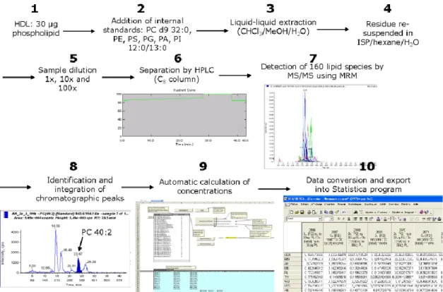 Figure 13. An in-house pipeline for extraction and separation of lipids, followed by detection  using MS/MS and automated acquisition of the resulting data 