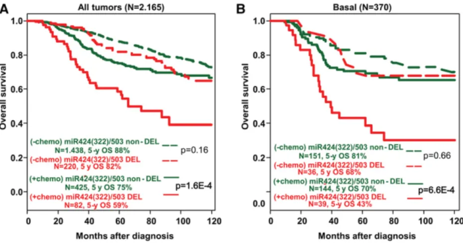 Figure 5. The impact of miR-424(322)/503 loss on the overall survival of breast cancer  pa-tients depends on chemotherapy treatment.