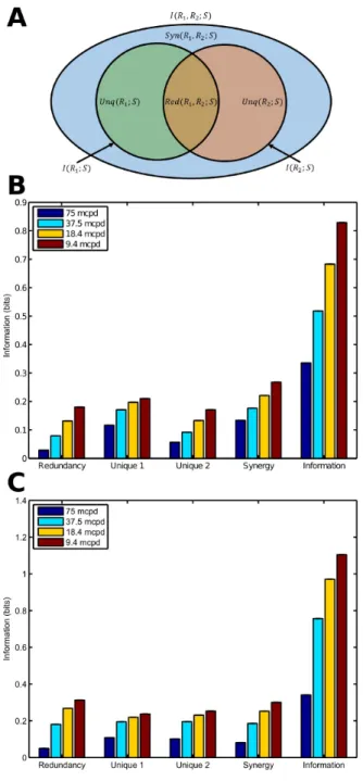 Figure 3: (A) Partial information diagram for two variables, based on figure 1 of Williams and Beer (2010)