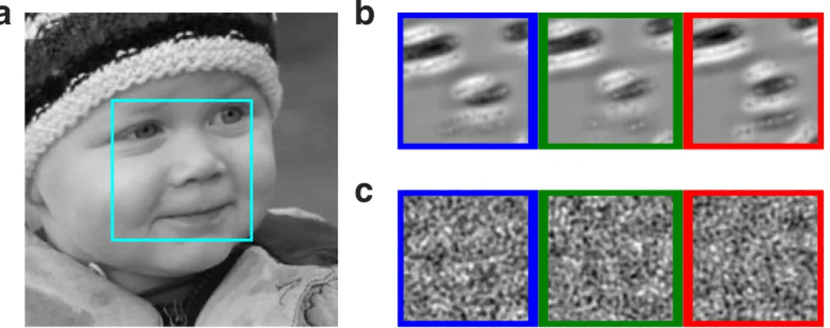 Figure 3.  Synchrony-based representations. (a) Input stimulus with the 4° ×  4° field of view sampled by  Virtual Retina (foveal region)