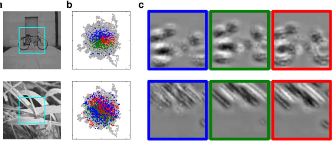 Figure 6.  Rapid synchrony-based template matching. Here we focus on the second (green) downstream  neuron of Fig. 3, which prefers MSs landing in the central zone of the face image (Fig. 4b)