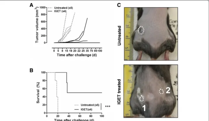 Fig. 4 IGET induced a memory immune response. Mice experiencing complete regression of the tumor 100 days after the first treatment were injected again with 0.5 × 106 B16F10 cells