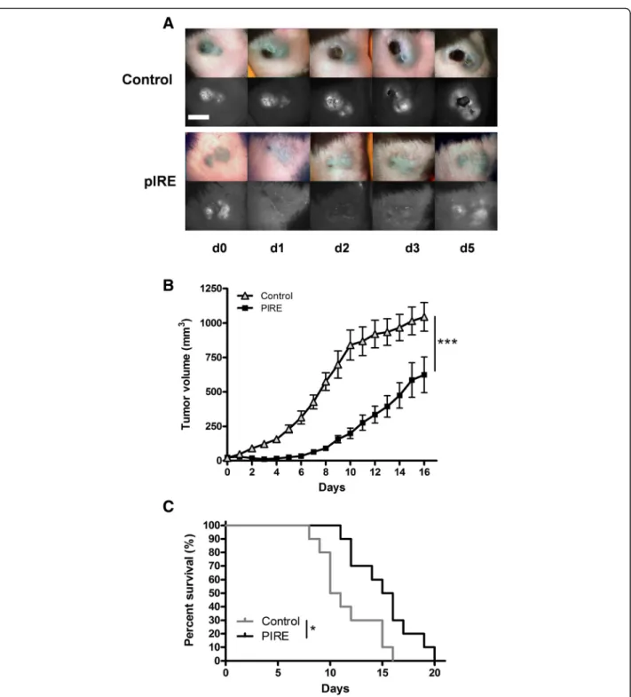 Fig. 1 Effect of pIRE treatment on tumor growth and survival. C57Bl/6 mice were intradermally injected with 0.5 × 106 B16F10-GFP tumor cells and treated with pIRE parameters: 10 square waved pulses of 1200 V, duration 100 μ s, frequency 1 kHz