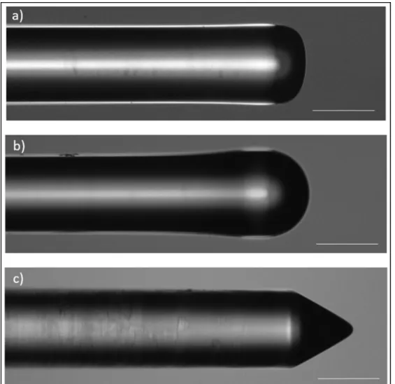 Fig. 1. Images of the three different fiber tips used for the experiments carried out