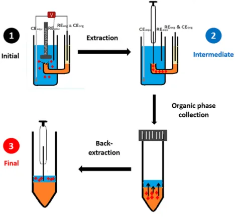 Figure 2:  Extraction  procedure  of  the  electrochemically  modulated  liquid-liquid  extraction