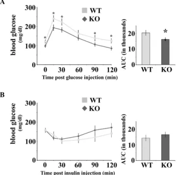 Figure 3.  Olfr1393 KO mice have improved glucose tolerance as measured by GTT, but perform similarly  on an ITT
